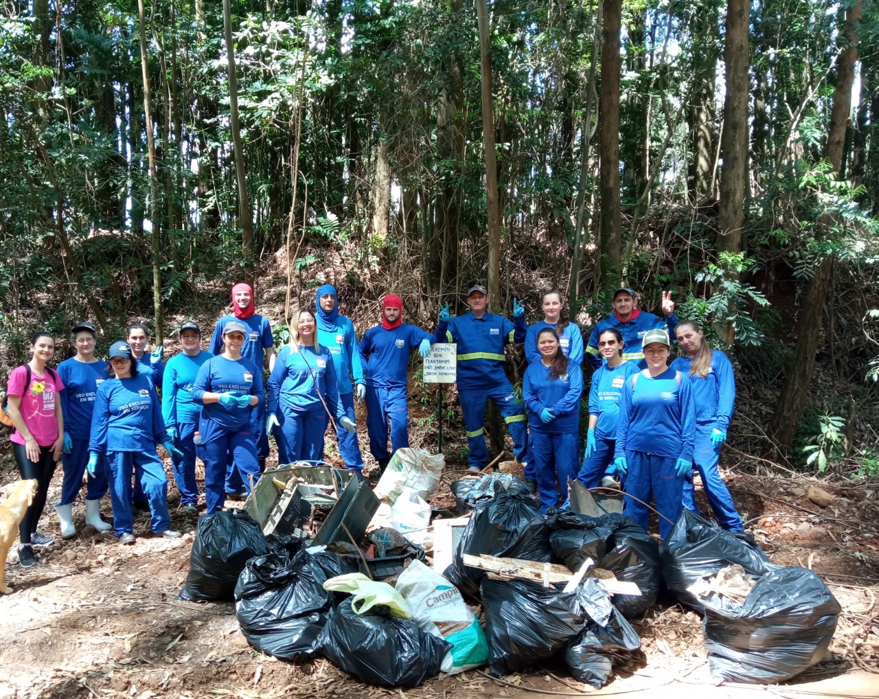 Voluntários da Aurora Coop engajados na preservação do meio ambiente em Xaxim (SC)